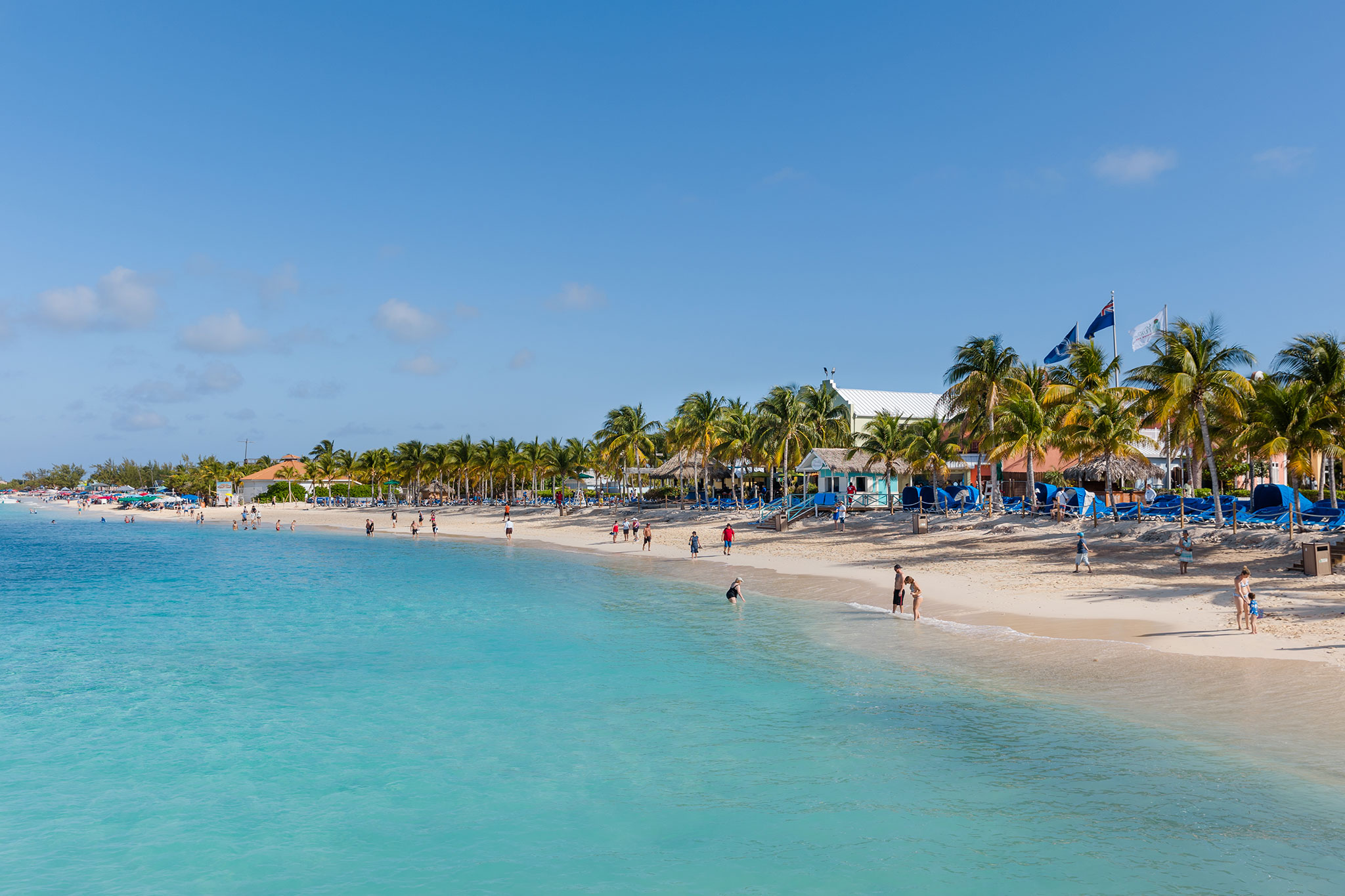 A tropical beach scene featuring a line of palm trees and beach huts along the shore, with people swimming and sunbathing in clear blue waters.